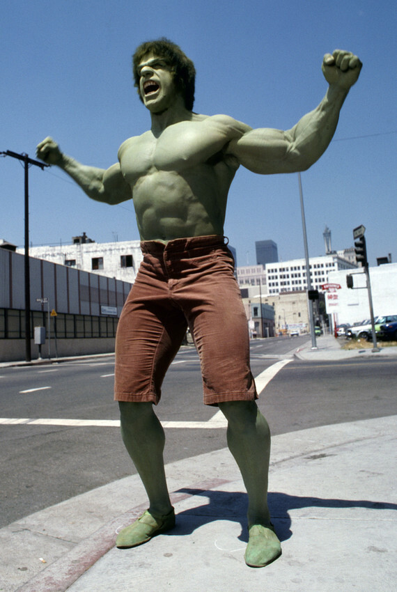 Lou Ferrigno And Hulk Hogan Lou Ferrigno Signed The Incredible Hulk