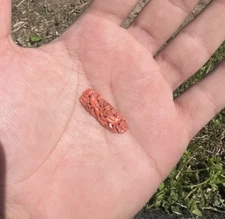 Gorgeous Antique 19th Century to Early 1900s Carved Red Coral Pendant with Birds