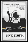 PINK FLOYD LIVE AT POMPEII Original One sheet Movie poster Sensual Perception!