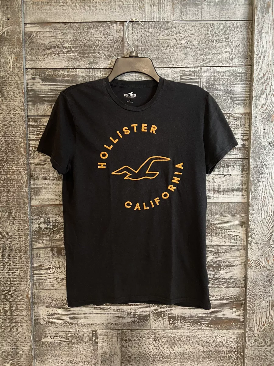 Hollister outlet slim tee