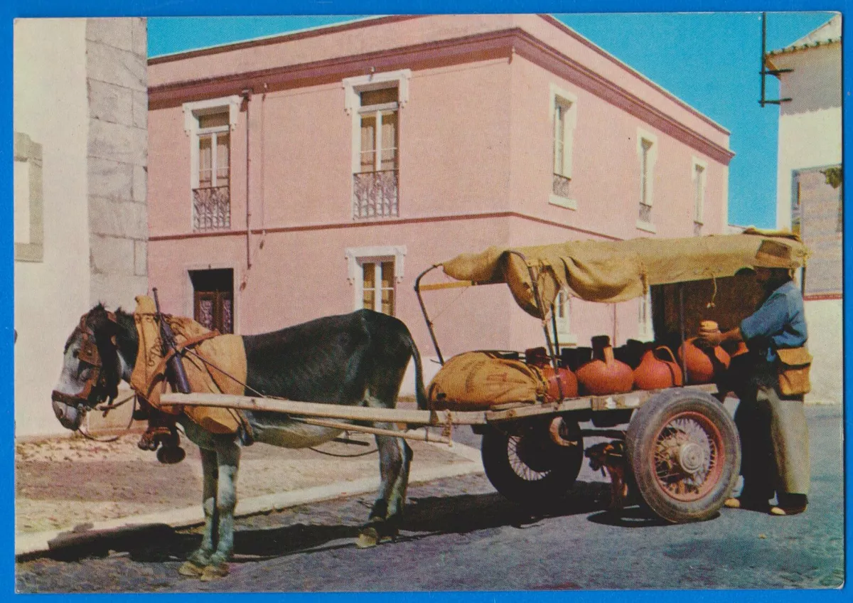 Horses and Donkeys in Portugal