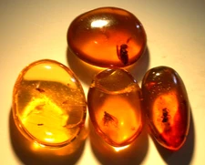 4 Pieces of Burmese Amber Fossils with Variety of Insects Dinosaur Age 4.4 g