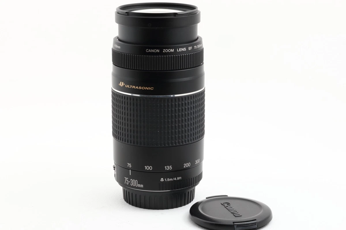 保証付き/ canon kiss x9/35-80mm/EF 75-300mm canon kiss x9/EF 35