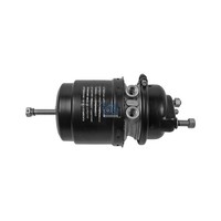 Federspeicherbremszylinder Type 20/24 DT Spare Parts FüR U.A. MAN TGA