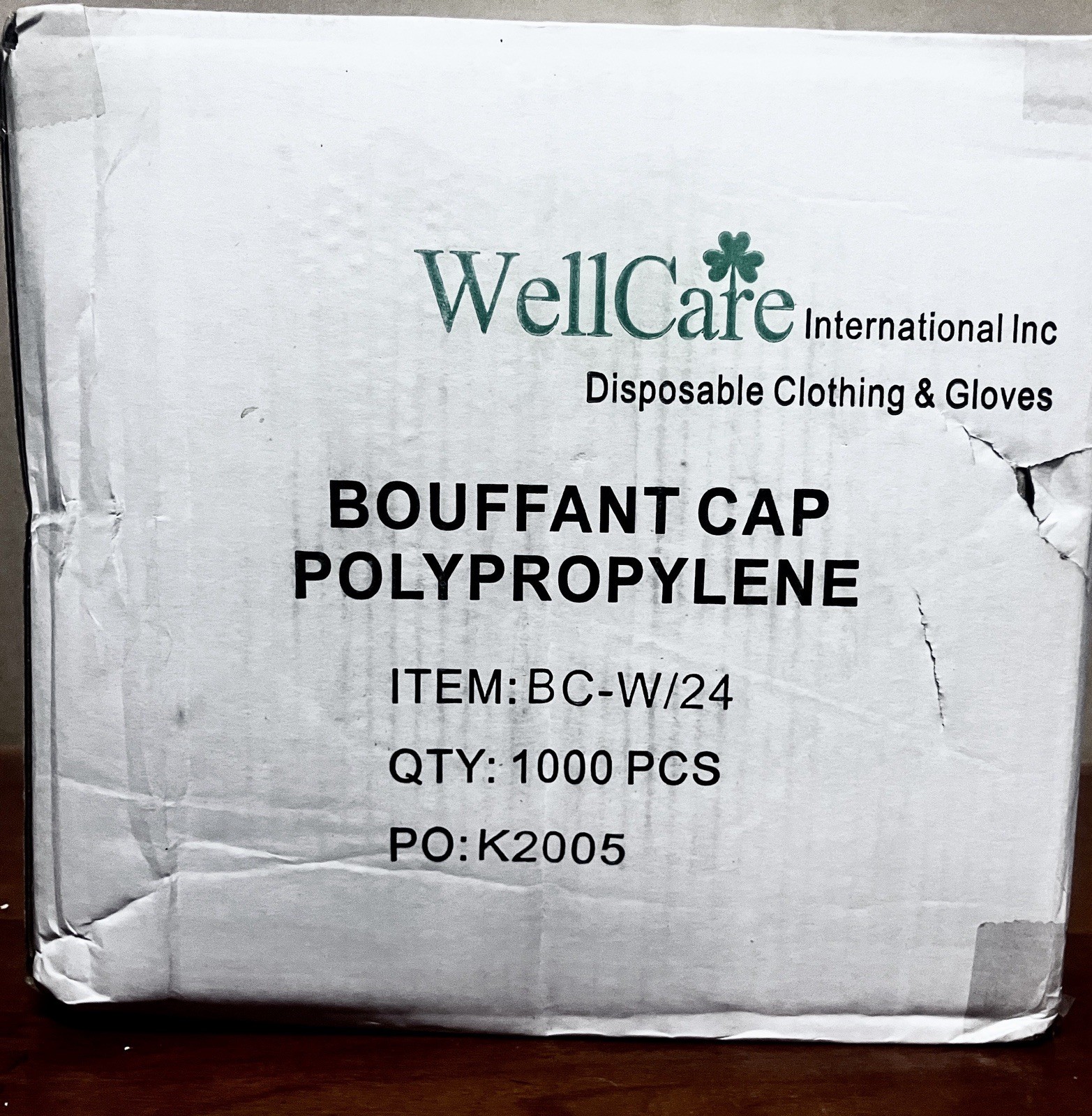 Case of 1000 WellCare Disposable Hair Nets Bouffant Caps 24" Food Service Bulk