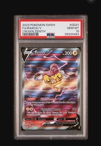 zamazenta pokemon cards Raikou V main image 0