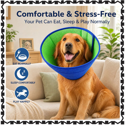 Pet Neck Brace Adjustable Plastic Protective Collar for Dogs and Cats