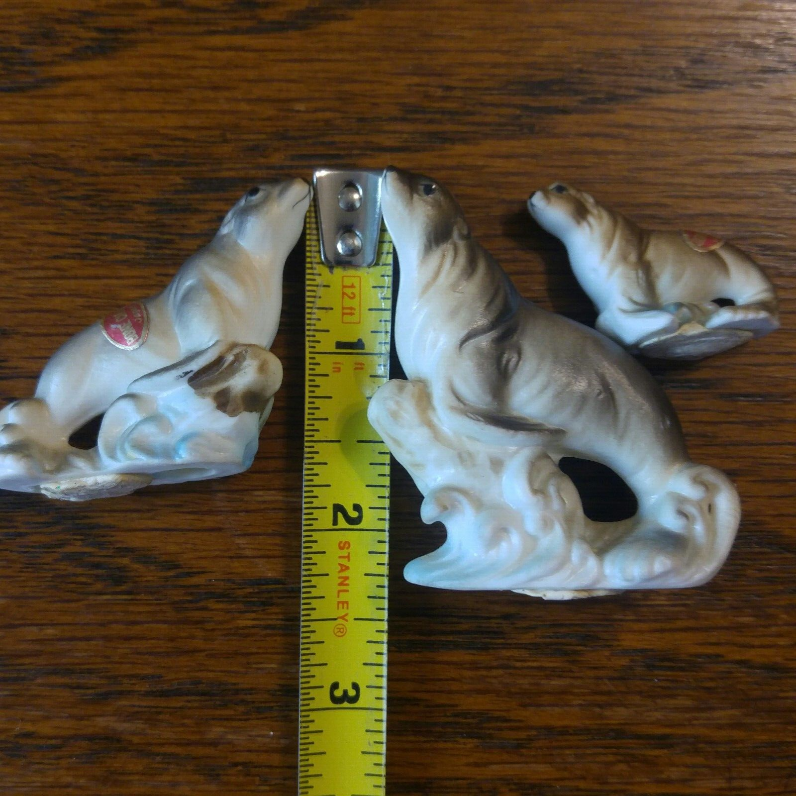Picture 6 of 6