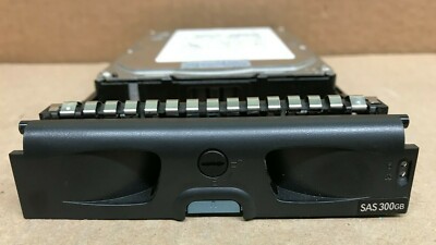 INFORTREND 300GB With caddy for  ESDS S12F-R1440 