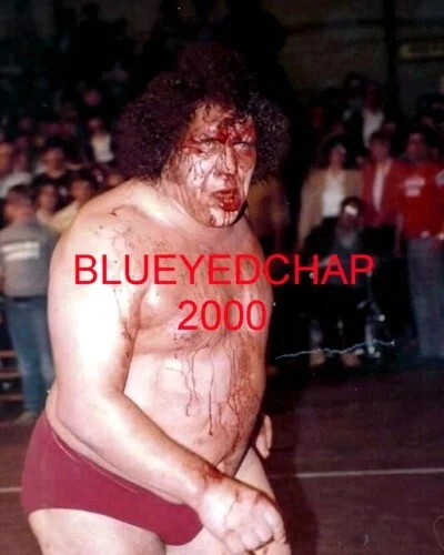 ANDRE THE GIANT WRESTLER 8 X 10 WRESTLING PHOTO NWA WWWF - Image 1 of 1