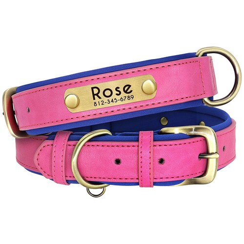 Soft Leather Padded Dog Collar Custom Name ID Tag Free Engraved Pink Red Green - Picture 13 of 26