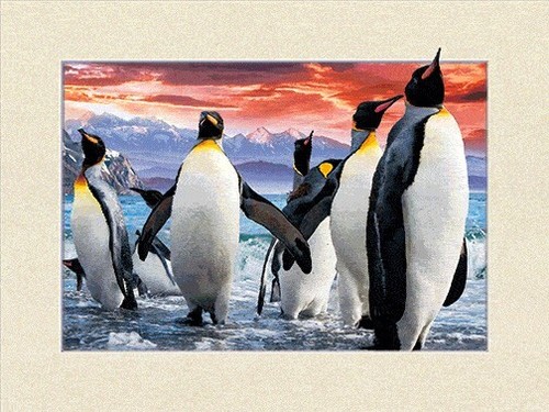 BLACK FRAMED PENGUINS AT NIGHT - 3D PICTURE PRINT 425mm x 325mm - Picture 2 of 2
