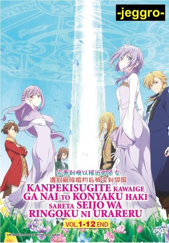 Anime DVD Kanpekisugite Kawaige ga Nai to Konyaku Haki Vol. 1-12 End ENG SUB - Picture 3 of 7