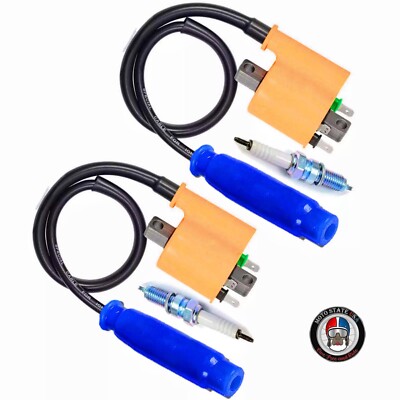 2x Ignition Coil w/Cap For Kawasaki Teryx 800 (2015-2023) Teryx4