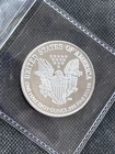 U.S. Mint American Eagle 1/2 oz .999 Fine Silver Bullion Coin Uncertified