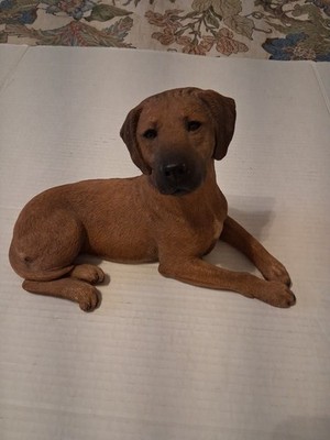 1991 Sandicast Rhodesia Ridgeback Dog Statue Approx 10x7