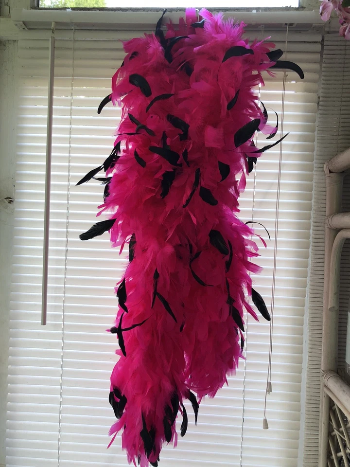 Boa Bright Fucsia/Plumas Negras Nuevo con Etiquetas Foto 3 de 4