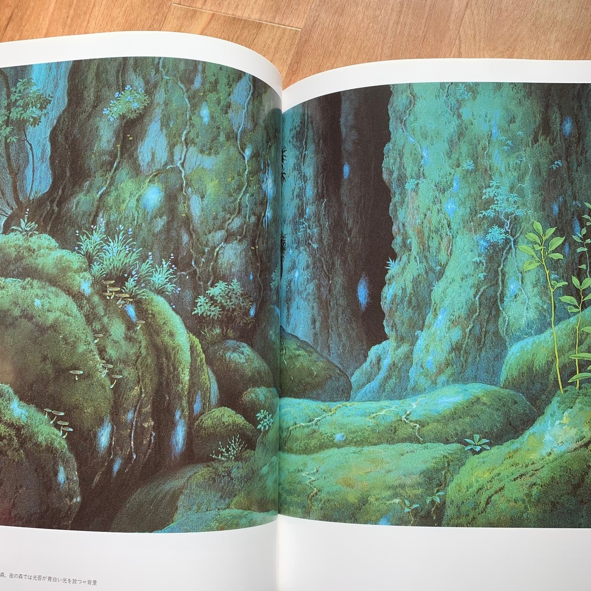 The Art of the Princess Mononoke Hayao Miyazaki Studio