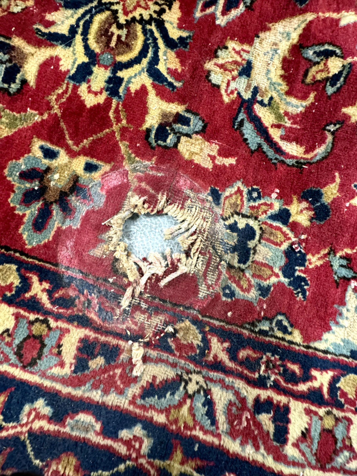 Traditional Medallion Area Rug Style Carpet 8'X12'9"