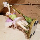 Foto 11 di 12