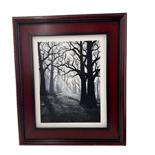 Vivian Davis Framed Canvas Art "Light In The Darkness" 11x14 Mahogany Read c