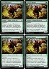 4x GRAYPELT HUNTER Duel Decks: Zendikar vs. Eldrazi MTG Green Creature Com