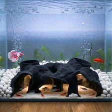 Large Aquarium Tunnel Cave 9.5" L , 3D Printed Substrate Viewer Fish Hideo...
