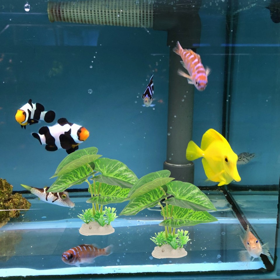 Photo inspiration: Fresh Look at 4 Pcs Plastic Plants For Aquariums Fish Tank Greenery Decorations