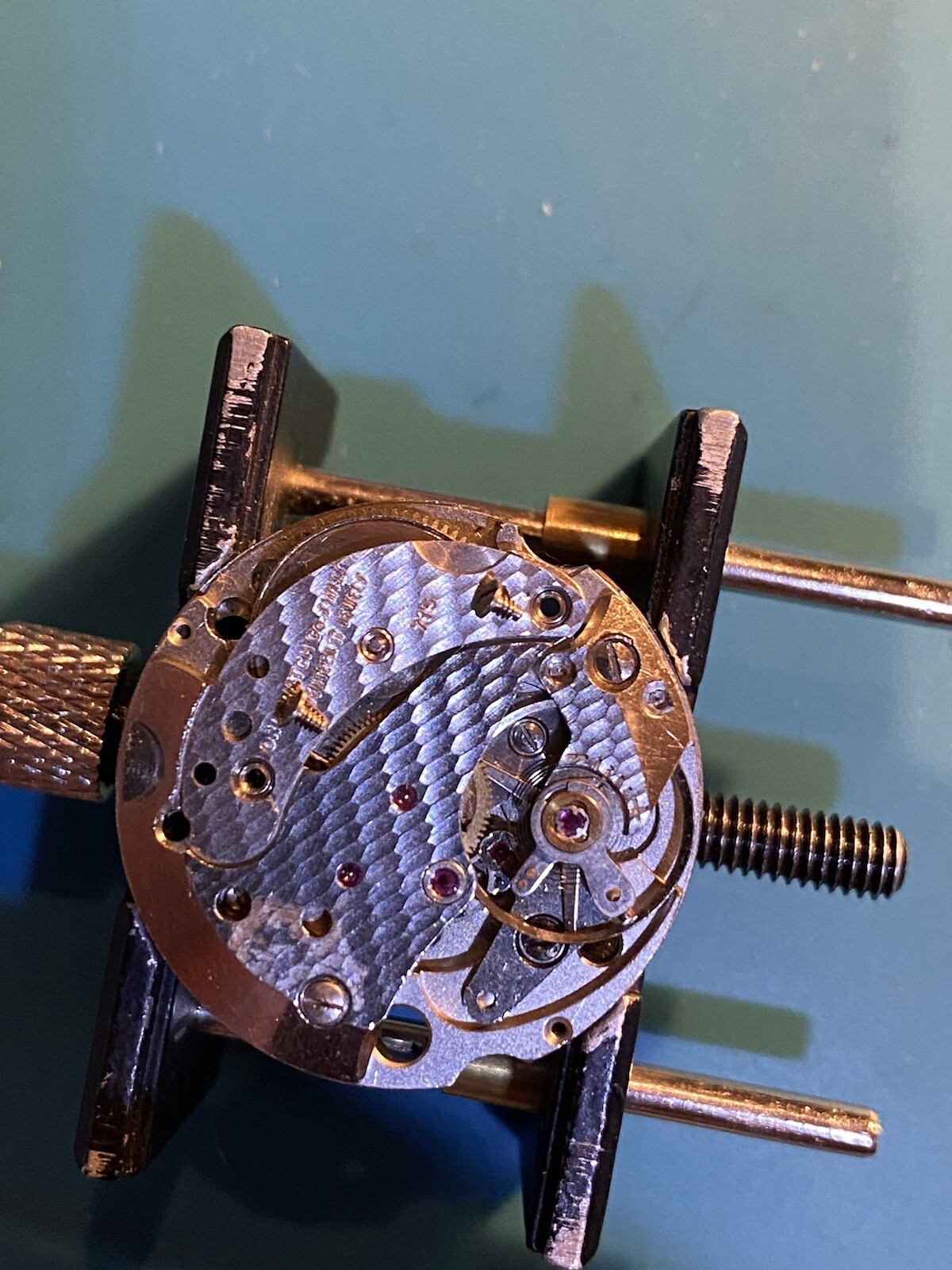 Picture 5 of 5