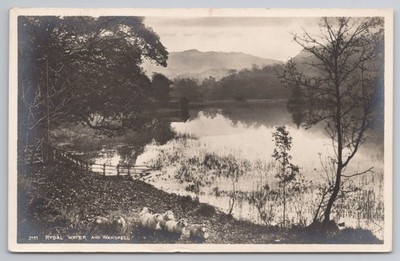 RPPC Rydal Water and Wansfell Lake District Sheep Reflection