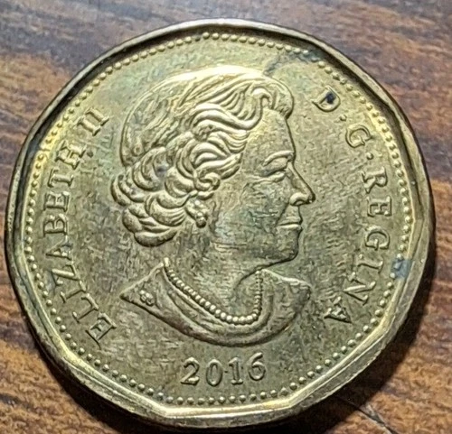 CANADA 2016 CANADIAN LOON QUEEN RIO OLYMPIC RARE LUCKY LOONIE $1 DOLLAR COIN UNC