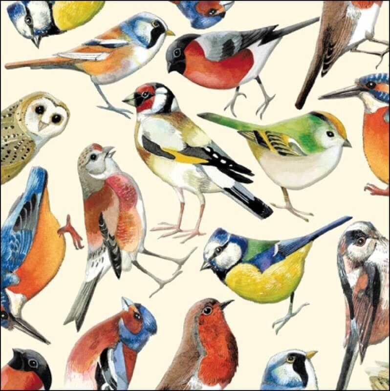 Birds Birthday Card Emma Bridgewater - Stylish Illustrated Design Greeting Card