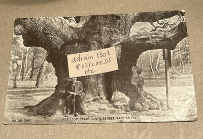 FRÜHE C20 Stck. Major Oak & Mann mit Gehstock, Flatcap / Sherwood Nottingham