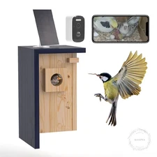 Birdhouse Camera Solar Powered 1080P/2K HD Smart Nest Box, 2.4G WiFi Live View