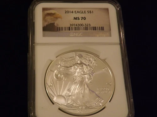 2014   $1      EAGLE          NGC  MS 70