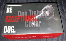 Dog Training Collar With Remote (PD 519 V)