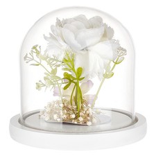 1pc Glass Dome Cover tive Display Case Cloche Bell Jar Terrarium with Wood