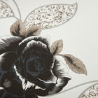 Foto 9 di 24
