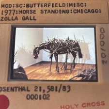 Deborah Butterfield “Horse Standing ” Sculpture Art 35mm Slide
