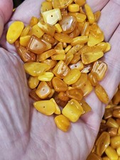 On sale Rare Butterscotch Genuine BALTIC amber chip nugget beads lot 50 carats