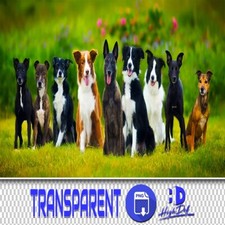 300 DOGS, DOG PNG TRANSPARENT PNG PHOTOSHOP OVERLAYS, ISOLATED ANIMALS PNG FILES