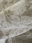 Bild 17 von 19