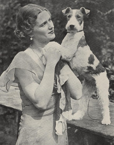 Wire Fox Terrier "Cocktail" - 1934 Antique Dog Art "Photo" Print - CUSTOM MATTED