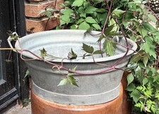 Alte Rarität seltene Zinkwanne  Zink  Gartenteich Blumentopf  DEKO 