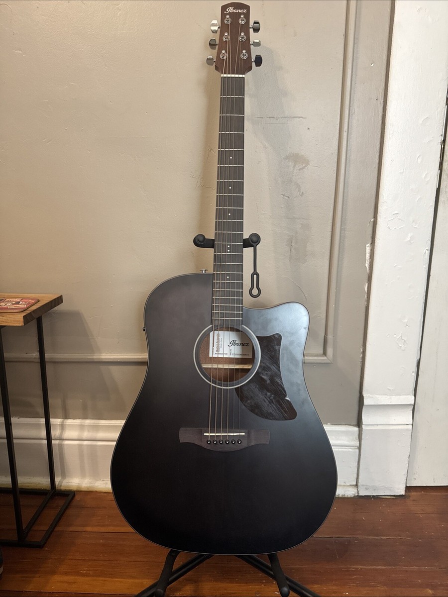 Ibanez Dreadnought Acoustic Guitar - Brown (AEQ-TP2) 663701809992