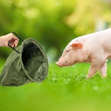 Verdickte Schweinekopfdecke Schweinehalterhandling Liefert Effektive