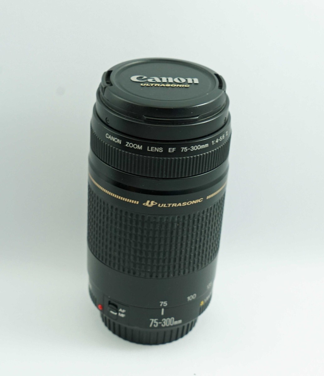 Canon EF 75-300mm 4-5.6 Ⅱ ULTRASONIC Canon EF 75-300 mm 1:4-5.6 II Ultrasonic Zoom Lens | eBay