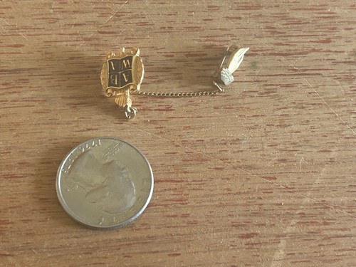 American Businesswomen Lapel Pin ABWA Sweater Pin With Chain Small Hand Torch - Picture 7 of 12