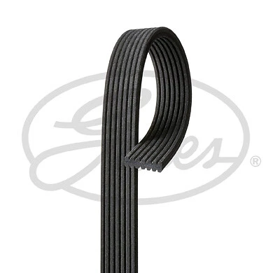 Gates V-Ribbed Belts Fits VW Phaeton (2002-2008) 3.2 5 Year Warranty G3682 - Image 2 of 4
