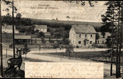 Postcard Moritzburg in Saxony, Waldfrieden, new cultivation, deer - 4282542